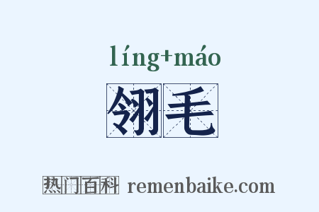 翎毛是什么意思的图片